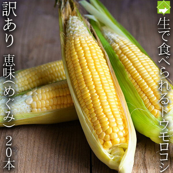とうもろこし 北海道富良野産 スイートとうもころこし 訳あり 恵味(めぐみ) MサイズからLサイズ混み 20本入り