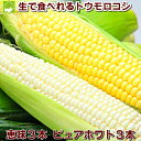 北海道富良野産 ピュアホワイト3本・恵味(めぐみ)3本 スイートトウモロコシ 福袋