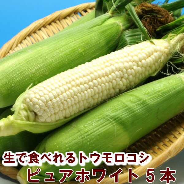 とうもろこし 北海道富良野産 激甘 トウモロコシ ピュアホワイト 2Lサイズ 5本