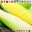 とうもろこし 送料無料 北海道富良野産 2色入り ピュアホワイト5本・恵味5本 7月中旬から8月25日着