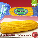 もぎたて、とうもろこしを素早く調理しました!無添加 北海道富良野産 スイートコーン 5本【約2kg】【送料無料】