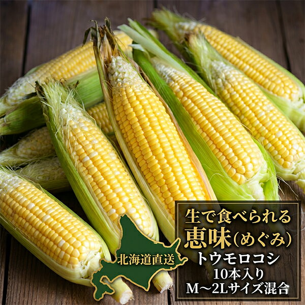 北海道産 フルーツとうもろこし 恵味 生食OK 甘い M～2Lサイズ混合 10本 送料無料（※一部地域別途送料） スイートコーン 産地直送