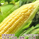 北海道富良野産 恵味(めぐみ) 12本入10箱 業務用 味来より甘い! 【送料無料【[8月中旬から下旬発送開始】