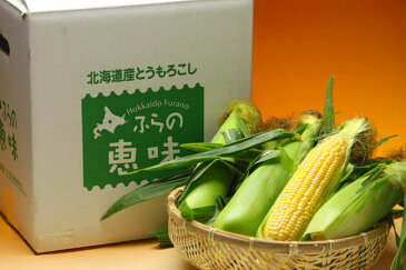 生で食べるフルーツトウモロコシ　北海道富良野産 　恵味　Lから2Lサイズ混み　10本　送料無料　別途送料のかかる地域あり