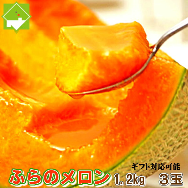 メロン 北海道富良野産 赤肉 1.2キロ以上 3玉入り【送料無料】