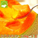 メロン 北海道富良野産 赤肉 1.2キロ以上 5玉入り【送料無料】