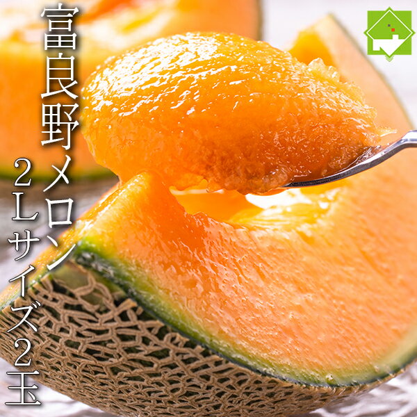 早採り ふらのメロン 北海道富良野産 赤肉メロン 2Lサイズ 2玉入り 合計約3kg 5月下旬発送開始 夏ギフト 御中元 暑中見舞い 残暑見舞い ギフト 贈り物 お祝い お礼 お返し お盆 お供え お供え物 果物 フルーツ 北海道 送料無料 お取り寄せ