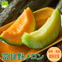 メロン 北海道 富良野産 ふらのメロン 赤肉1玉 青肉1玉 2Lサイズ 2玉入 送料無料