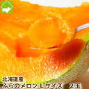 ふらのメロン Lサイズ 1.2キロ以上 2玉入り 送料無料 別途送料が発生する地域あり