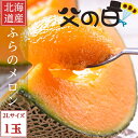 父の日ギフト配送 北海道富良野産 赤肉メロン 2Lサイズ 1玉 送料無料