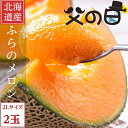 2024年 父の日ギフト 北海道富良野産 赤肉メロン 2Lサイズ 2玉 【送料無料】
