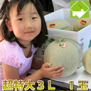 北海道富良野産 赤肉メロン(めろん) 超特大3Lサイズ以上(2.5kg以上) 1玉入り 【送料無料】【お中元ギフト】 【10P03Dec16】