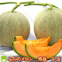 北海道富良野産 最高級 赤肉メロン 2L 2玉入り 【送料込】 【お中元対応】