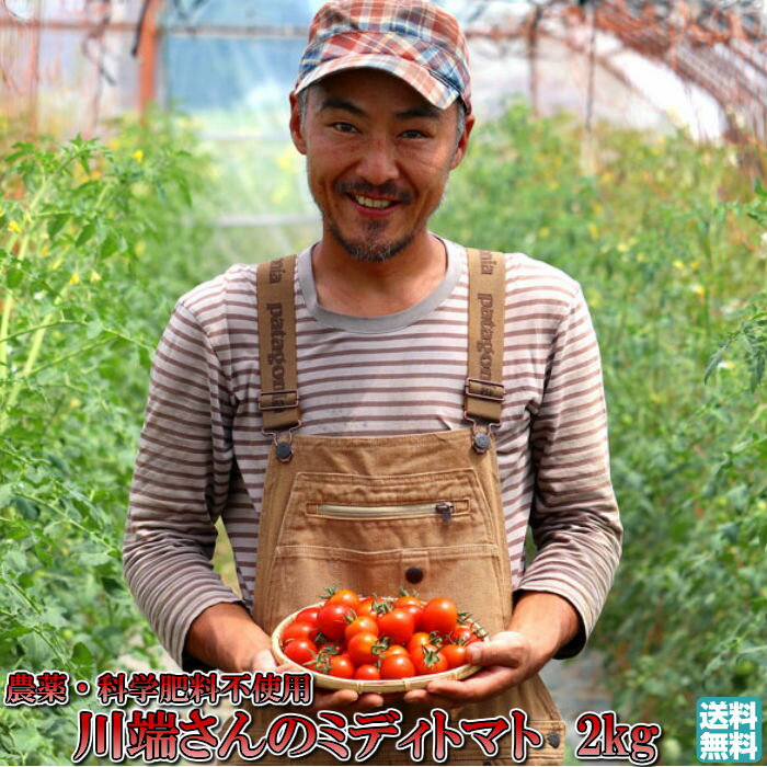 トマト 北海道 当麻産 のんの畑の ミディトマト 2kg