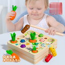 知育玩具 木のおもちゃ ひっつきむし 引っ付き虫 ひっつき虫 出産祝い 1歳 2歳 3歳 ハーフバースデー 虫釣り お誕生日 入園祝い 誕生日 プレゼント