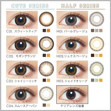 アイジェニック マンスリー EYE GENIC 1箱1枚入 度入り 度あり カラコン マンスリー DIA14.5mm bc8.7mm 新木優子 送料無料 1month カラーコンタクト 1ヶ月 フチあり ブラウン グレー
