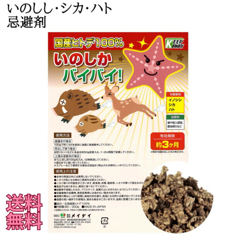 SweetAnnex㤨ֳ   ΤХХ  Υ  ϥ   ȷ ŷʬ  ҥȥ ݥ˥ к Ǻ   դʤ  ¿ Ȥ䤹פβǤʤ2,178ߤˤʤޤ