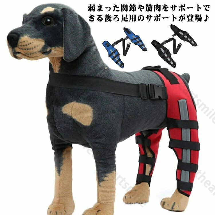 【送料無料】包 左右セット 固定 ペア 後足関節保護 サポーター 膝 用 後ろ足 関節プロテクター 用 犬 サポーター 膝 関節プロテクター 犬用