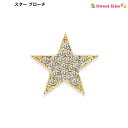 スター ブローチ (1コ) | 星型 星 ラインストーン ゴールドカラー 記念品 クリスマス プレゼント ギフト 記念品 母の日 プチプレ おしゃれ ホワイトデ...