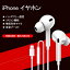 イヤホン 有線 新品 イヤホン iPhone13/12/11/7/7P/8/8P/X/XS/XR/XS Max/iPad/ipod 対応 高音質 音量調節 通話可能
