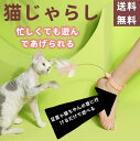 【送料無料 動画あり】猫おもちゃ 知育玩具 猫じゃらし ねこ おもちゃ 猫オモチャ 猫用品 天然鳥の羽棒鈴付き