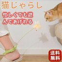 【送料無料 動画あり】猫おもちゃ 知育玩具 猫じゃらし ねこ おもちゃ 猫オモチャ 猫用品 天然鳥の羽棒鈴付き 運動不足解、猫のおもちゃ屋内猫用猫おもちゃ子猫プ...