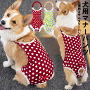 愛犬の生理時、オムツカバー、術後の保護としても!2色展開 サニタリーパンツ 生理パンツ 女の子 犬用 猫用 マナーパンツ ペット雑貨 ペット用品 サニタリー 生...