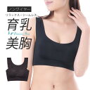 ＼2枚目50%OFFクーポン／ナイトブラ バストアップ ブラジャー 育乳ブラ 補正 脇肉 シームレス 昼夜兼用 昼兼用 大き…