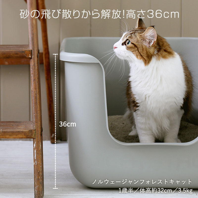 ＼P5倍！全商品／猫 トイレ 大型 ONEKOSAMA OINUSAMA【ブランド公式】多頭飼 インテリア ねこ ネコ ペット 大型 飛び散らない ガード 深め 高め 高い 高さ 大きい 大容量 シンプル シニア 抗菌 PP素材 FDA RoHS多頭 多頭飼い 猫トイレ | おねこさま おいぬさま 3