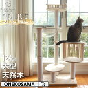 本日終了\最大P12倍/ ONEKOSAMA キャットタワー 木製 宇宙船付き 【CRUISE】クルーズ 宇宙船 ハンモック 豪華 4段 176cm 獣医師監修...