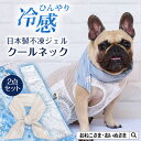 ひんやり−10°C!不凍ジェル付きクールネック 日本製 ペット用スカーフ 柔らか 夏 長時間 冷たい 冷却 冷感 保冷 クール スカーフ ネック ク...