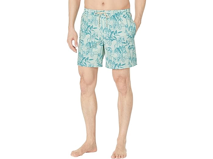 (取寄) クイックシルバー ウォーターマン ルーズ ウェイズ ボレー 17 Quiksilver Waterman Loose Ways Volley 17" Subtle Green