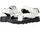 (取寄) エアロソールズ ウェーブ Aerosoles Wave White Croco
