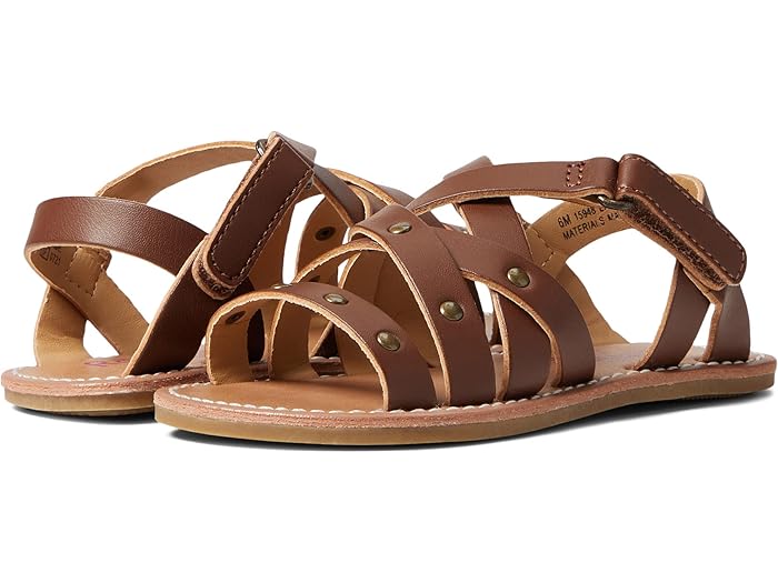 (取寄) レイチェル シューズ リル ブラジル (トドラー/リトル キッド) Rachel Shoes Lil Brazil (Toddler/Little Kid) Brown