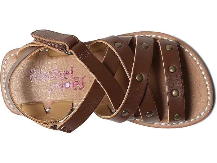 (取寄) レイチェル シューズ リル ブラジル (トドラー/リトル キッド) Rachel Shoes Lil Brazil (Toddler/Little Kid) Brown