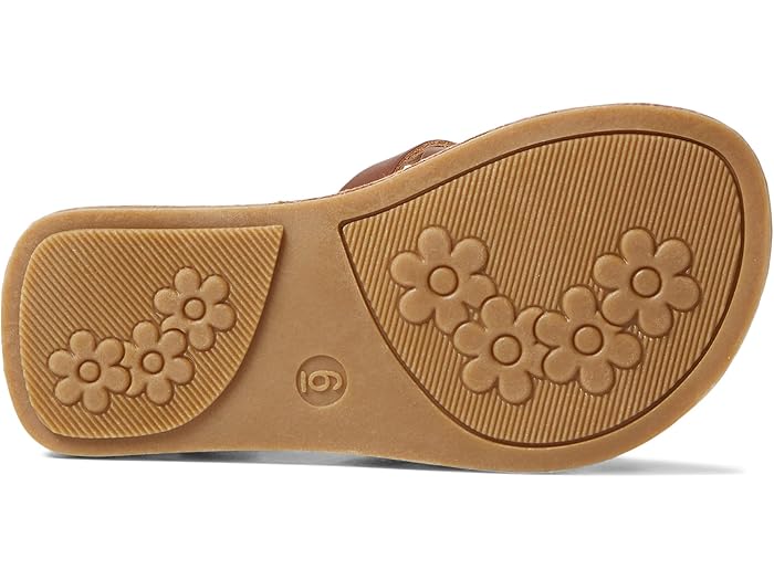 (取寄) レイチェル シューズ リル ブラジル (トドラー/リトル キッド) Rachel Shoes Lil Brazil (Toddler/Little Kid) Brown