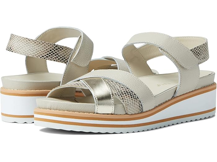 () ǥӥåɥƥ  David Tate Echo Beige Multi