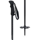 () C rW XL[ |[ Line Vision Ski Pole Black/White