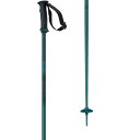 () T A[NeBN XL[ |[Y Salomon Arctic Ski Poles Blue