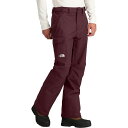 (取寄) ノースフェイス メンズ フリーダム パンツ The North Face men Freedom Pant - Men's Alpine Plum