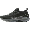 (取寄) ナイキ レディース ペガサス トレイル 5 ゴアテックス ランニング シューズ - ウィメンズ Nike women Pegasus Trail 5 ...