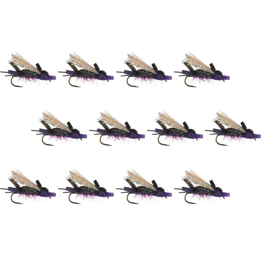 () ץ ANT 12-ѥå Umpqua Amy's Ant 12-Pack Purple