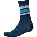(取寄) エンデューラ バーバー メリノ ストライプ ソック Endura BaaBaa Merino Stripe Sock Blueberry