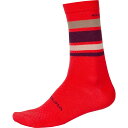(取寄) エンデューラ バーバー メリノ ストライプ ソック Endura BaaBaa Merino Stripe Sock Pomegranate