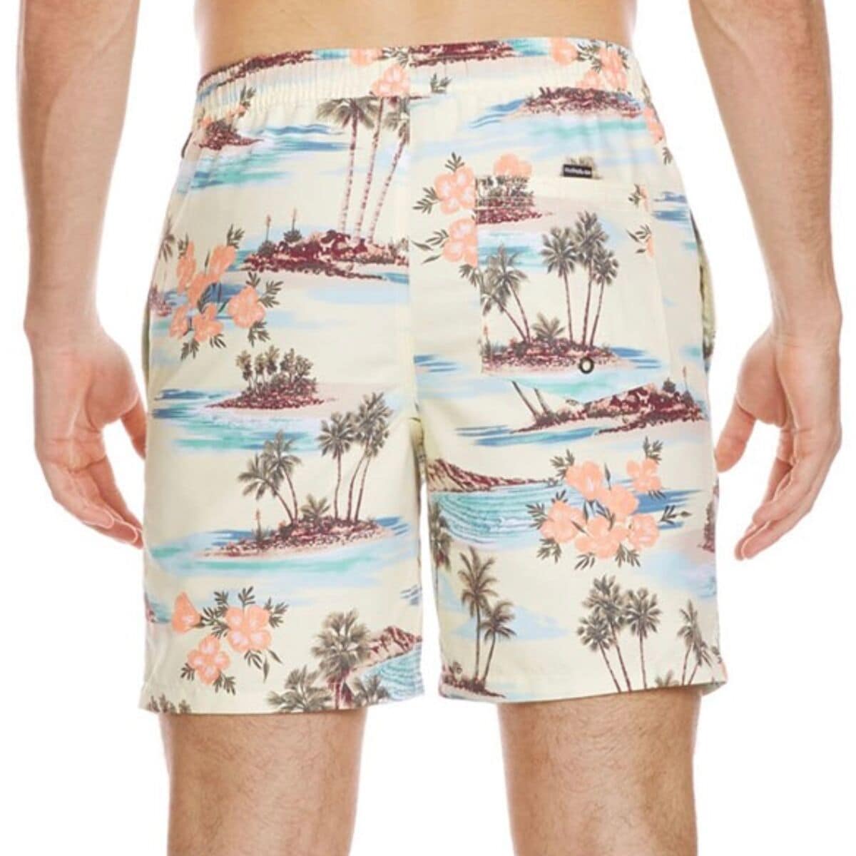 (取寄) クイックシルバー メンズ エブリデイ ミックス ボレー 17 Nb ショート - メンズ Quiksilver men Everyday Mix Volley 17 NB Short - Men's Silver Birch