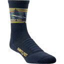 (取寄) ファームトゥフィート 3/4 ダマスカス ソック Farm To Feet RockHill Innova 3/4 Damascus Sock Total Eclipse(4)