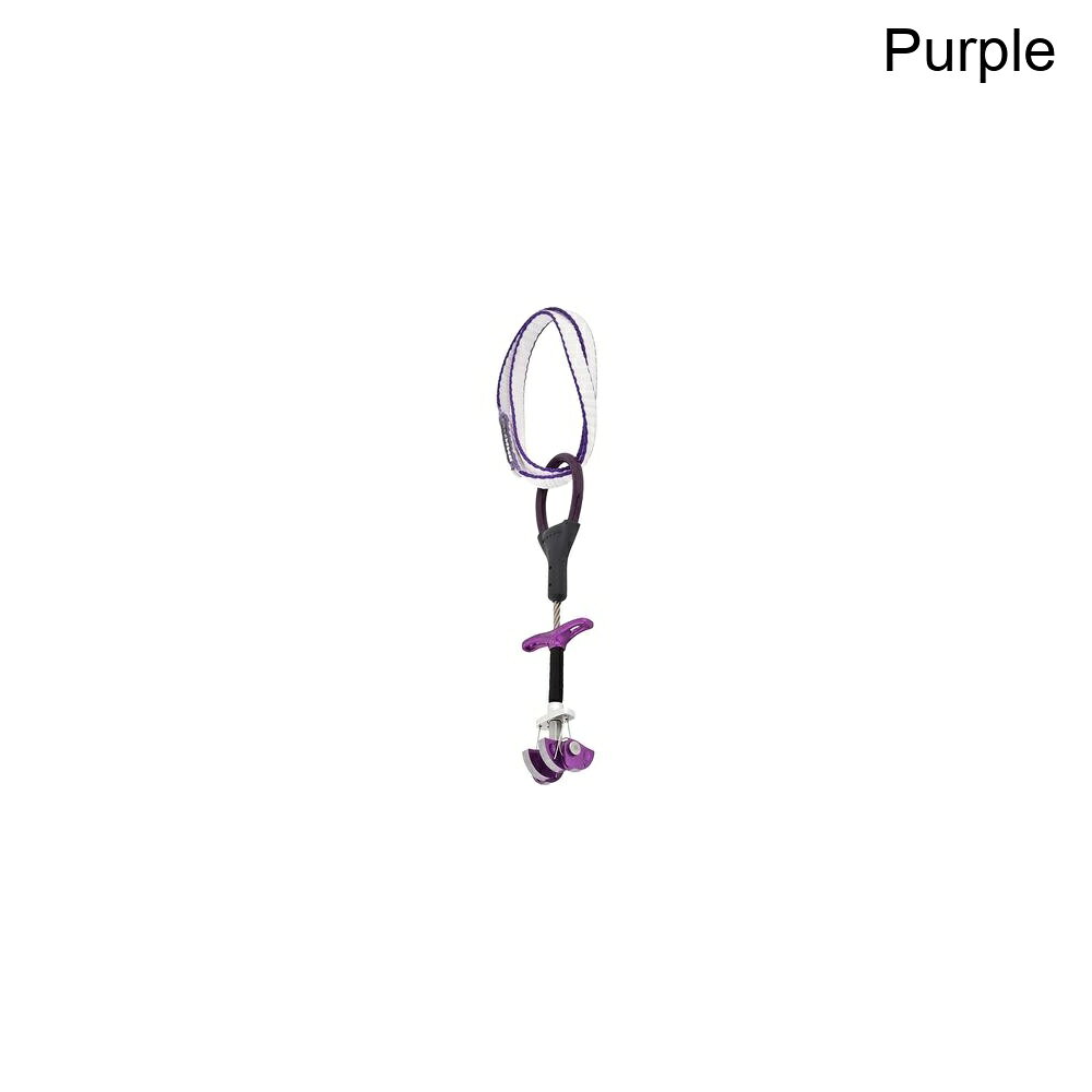 (取寄) ディーエムエム ドラゴンフライ カム DMM Dragonfly Cam Purple