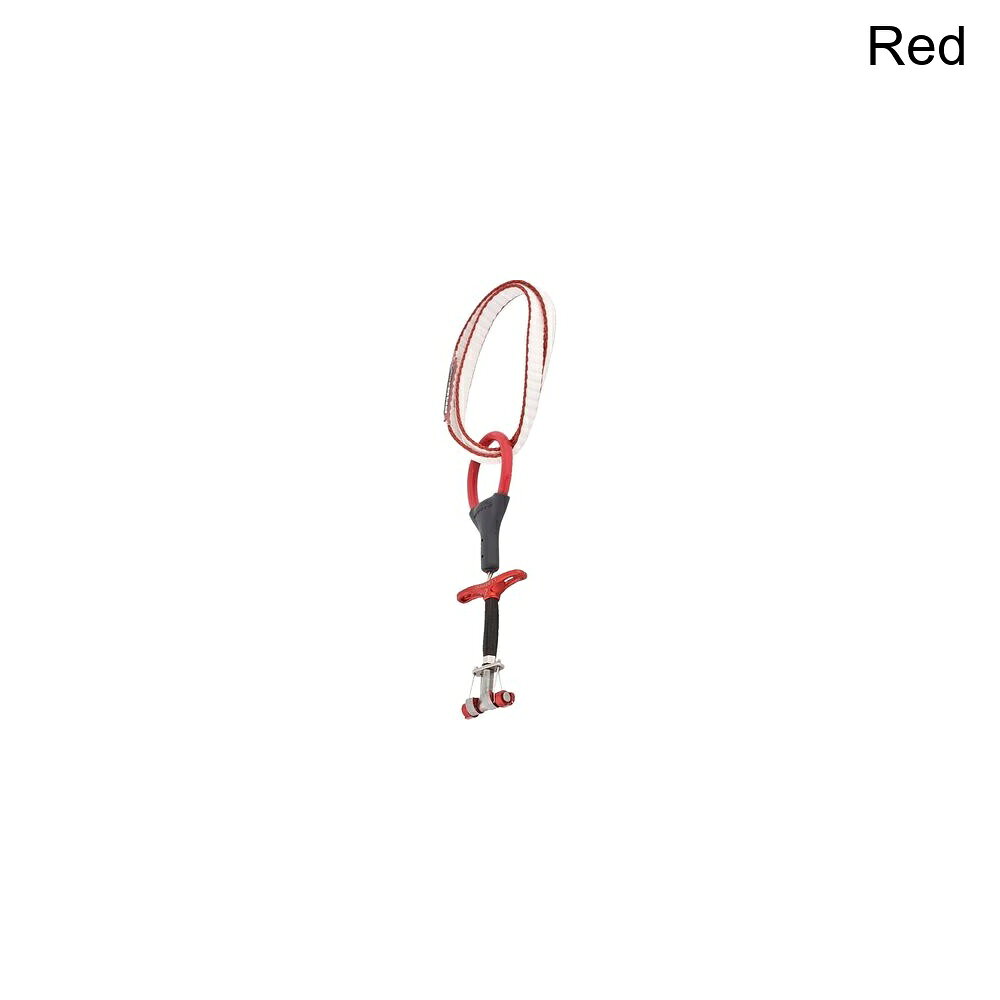 (取寄) ディーエムエム ドラゴンフライ カム DMM Dragonfly Cam Red