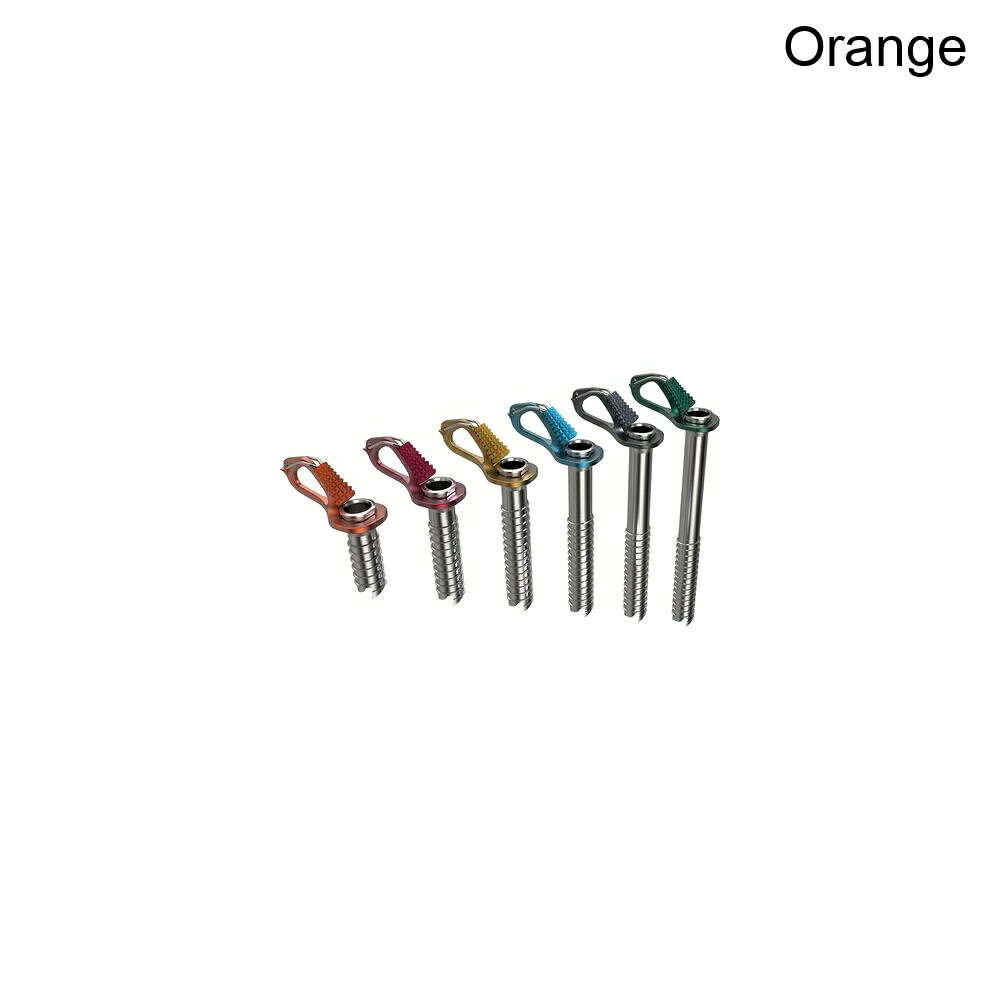 (取寄) ブルーアイス エアロ アイス スクリュー Blue Ice Aero Ice Screw Orange