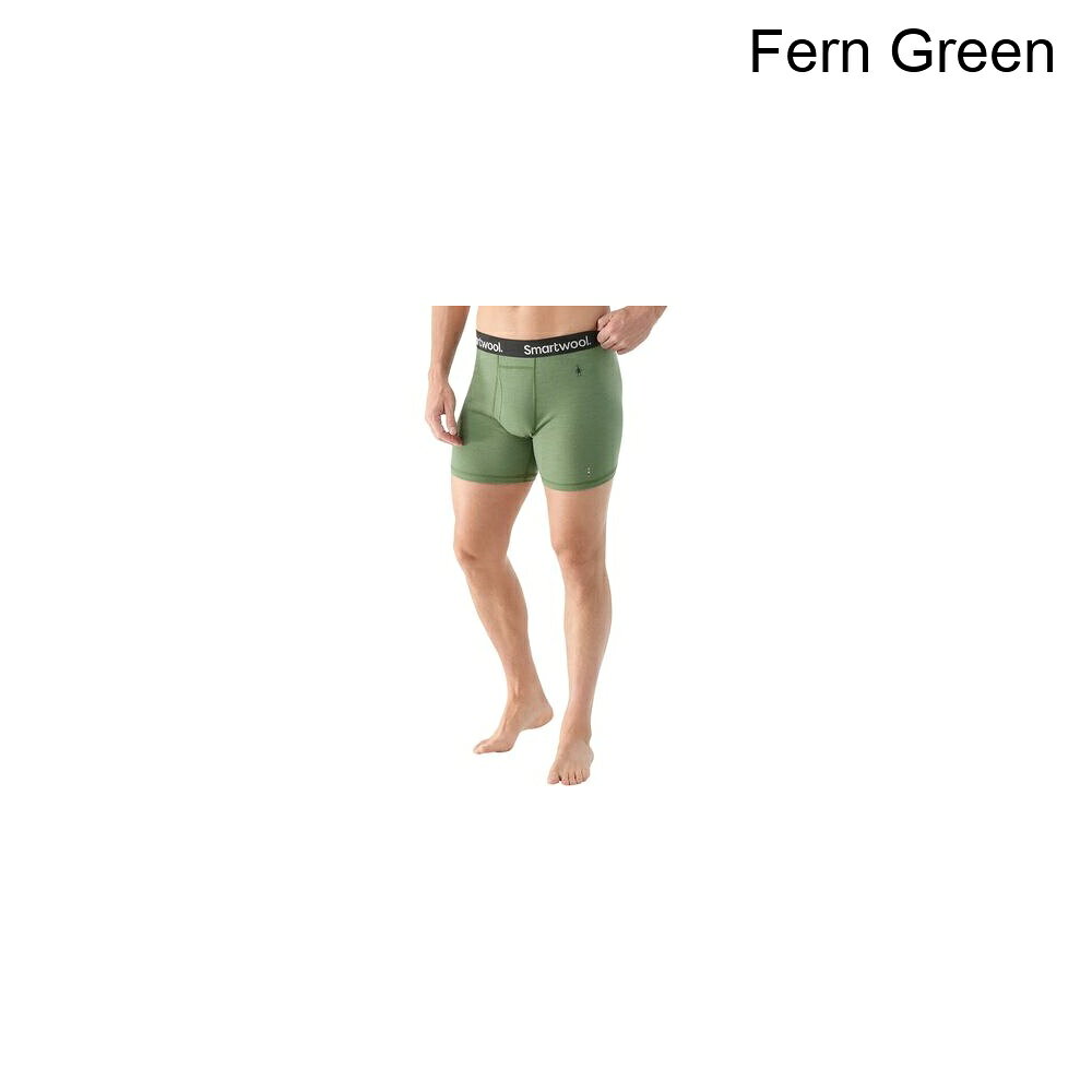 (取寄) スマートウール メンズ メリノ ボクサー ブリーフ - メンズ Smartwool men Merino Boxer Brief - Men's Fern Green